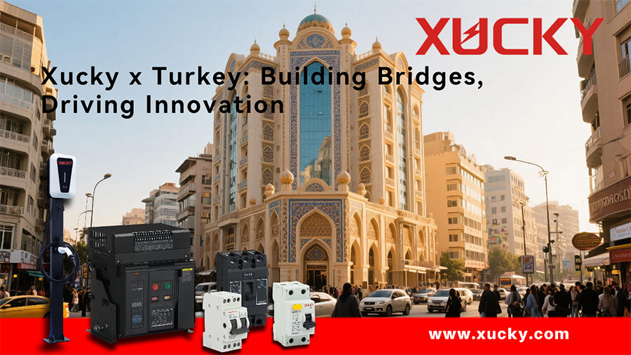 Түркиядагы Xucy: Кардардын катышуусу жана базар түшүнүктөрү